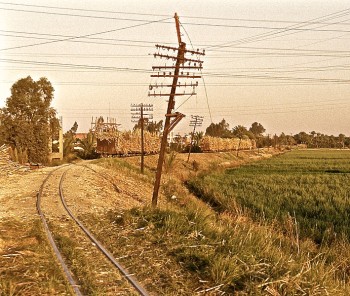 Sugar Cane train, Luxor Egypt. Photo courtesy of Marc Ryckaert, Wikimedia Commons.